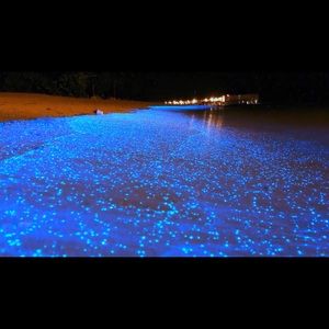 Meet your Posher, Josh